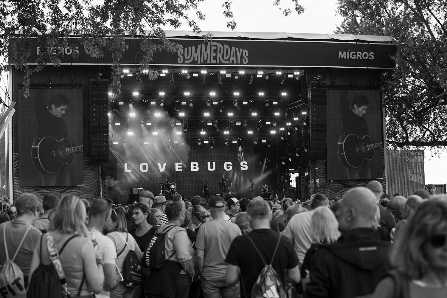 Schweizer Evergreen: Die Lovebugs. 