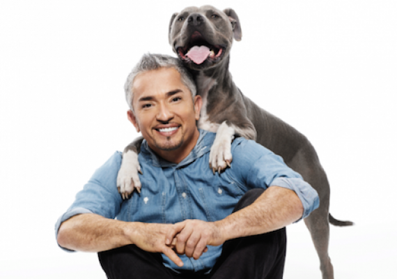 Cesar The Dog Whisperer Show Cesar The Dog Whisperer Show