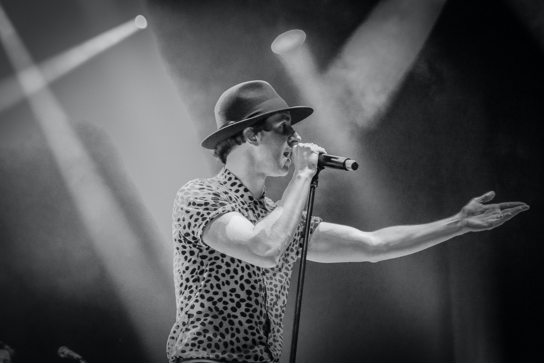 Maximo Park